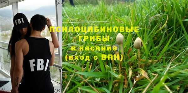 сатива Кодинск