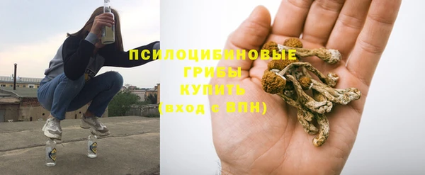 бошки Козельск