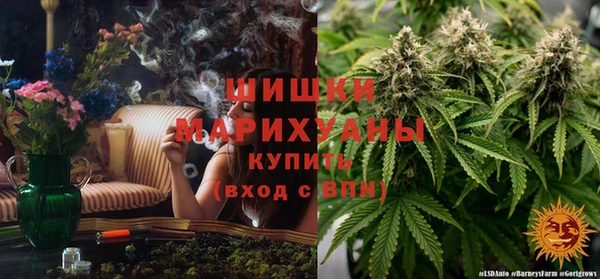 бошки Козельск