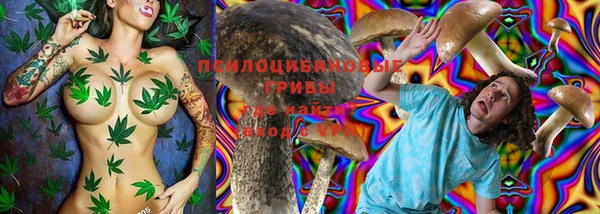 сатива Кодинск
