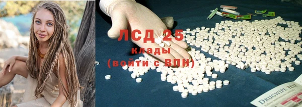 сатива Кодинск
