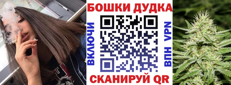 Бошки марихуана SATIVA & INDICA  купить наркотики цена  кракен ССЫЛКА  Плёс 